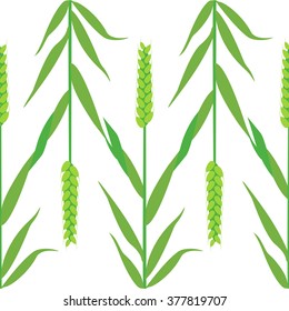 Seamless pattern with ear of wheat in vector. Concept for organic products
