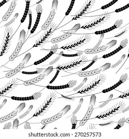 Seamless pattern with ears of wheat, cereal. Floral ornament for your design  