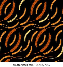Seamless pattern ears of wheat on a black background. Multi color vector illustration