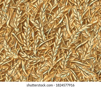 Seamless pattern with ears of wheat, rye, oats