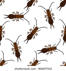 Seamless pattern with  Earwig .Forficula auricularia. hand-drawn Earwig . Vector illustration