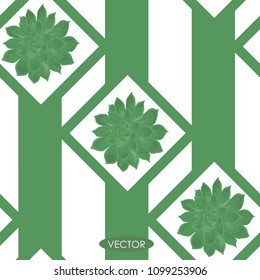 Seamless pattern. Echeveria plant with green strips. Vector illustration