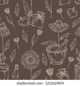 Seamless pattern with echinacea: plant, leaves and echinacea flowers. Cosmetic and medical plant. Vector hand drawn illustration. 