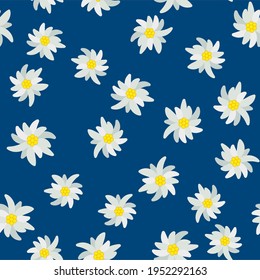 Seamless pattern with edelweiss flower on white background. Vector illustration