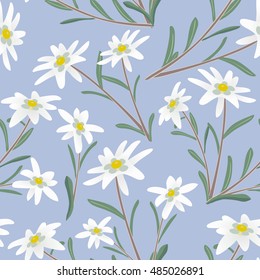 Seamless pattern with edelweiss flowers. Vector illustration.