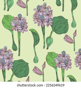 Patrón sin foco con las crassipes de eichhornia: planta de jacinto de agua, hojas y flores de eichhornia crassipes. Hiacinto de agua. Cosmética, perfumería y planta médica. Ilustración dibujada a mano por el vector
