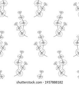 Seamless pattern from elements of branches of honeysuckle with berries, drawing in black contour on a white background. Vector illustration.