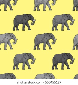 Seamless Pattern of elephants. Background with elephants.