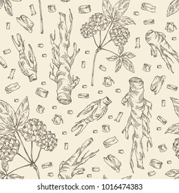 Seamless pattern with eleutherococcus: branch, berries and eleutherococcus root. Siberian ginseng. Cosmetic and medical plant. Vector hand drawn illustration. 