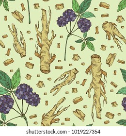 Seamless pattern with eleutherococcus: branch, berries and eleutherococcus root. Siberian ginseng. Cosmetic and medical plant. Vector hand drawn illustration. 