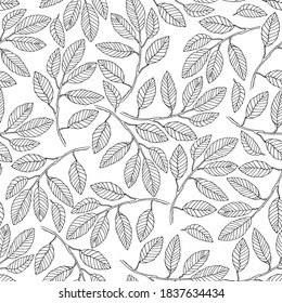 Seamless pattern with elm tree branches and leaves on white background for surface design and other design projects. Monochrome realistic line art