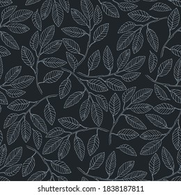 Seamless pattern with elm tree branches and leaves on black background for surface design and other design projects. Monochrome realistic line art