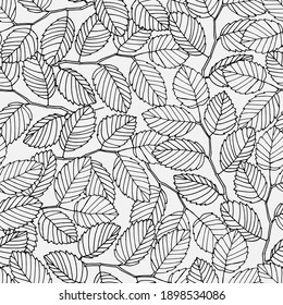 Seamless pattern with elm tree branches and leaves on white background for surface design and other design projects. Monochrome realistic line art