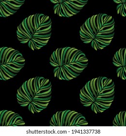 Patrón sin foco de hojas de palma de monstera tropical bordeadas sobre fondo negro. El bordado costilla la imitación