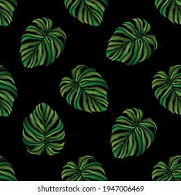 Patrón sin foco de hojas de palma de monstera tropical bordeadas sobre fondo negro. El bordado costilla la imitación