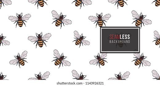 Seamless pattern with embroidery big honey bee. Fashion patch background with insects. 