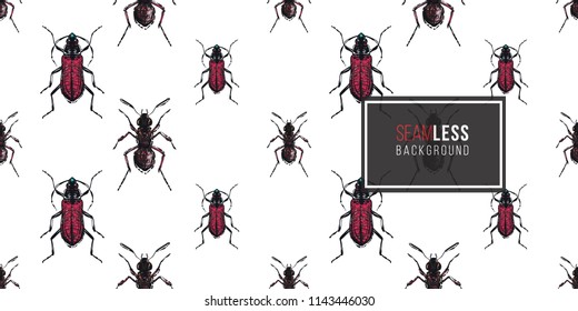 Seamless pattern with embroidery brown bug and forest ant. Fashion patch background with insects. 