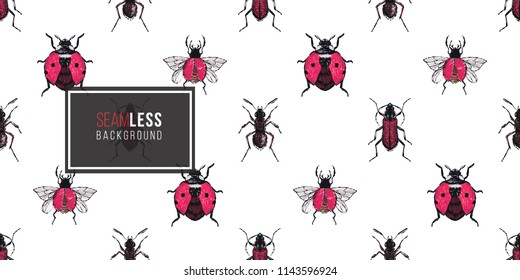 Seamless pattern with embroidery brown bug, forest ant, flying ladybag, red flying bug. Fashion patch background with insects. 