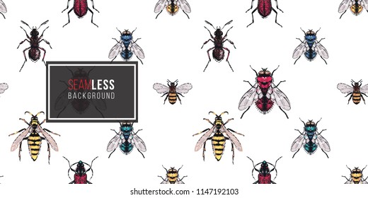 Seamless pattern with embroidery brown bug, forest ant, yellow, red, blue and green flies, honey bee, wasp. Fashion patch background with insects. 