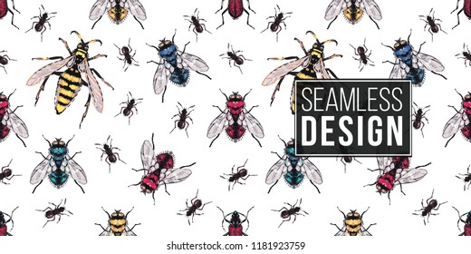 Seamless Pattern With Embroidery Brown Bug, Forest Ant, Yellow, Red, Blue And Green Flies, Honey Bee, Wasp. Fashion Patch Background With Insects. 