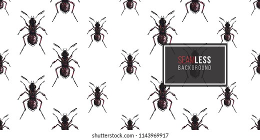 Seamless pattern with embroidery forest ant. Fashion patch background with insects. 