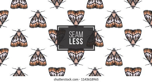 Seamless pattern with embroidery moth butterfly. Fashion patch background with insects. 