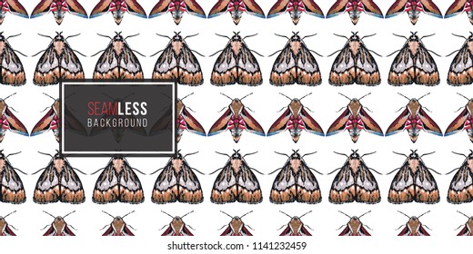 Seamless pattern with embroidery night butterfly and moth. Fashion patch background with insects. 