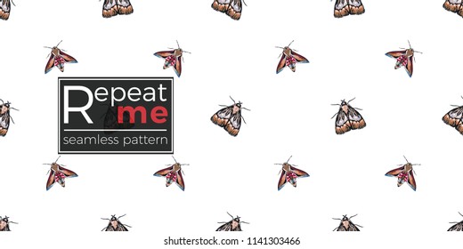Seamless pattern with embroidery night butterfly and moth. Fashion patch background with insects. 