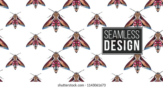 Seamless pattern with embroidery night butterfly. Fashion patch background with insects. 