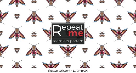 Seamless pattern with embroidery night butterfly and moth. Fashion patch background with insects. 