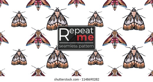 Seamless pattern with embroidery night butterfly and moth. Fashion patch background with insects. 