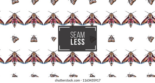 Seamless pattern with embroidery night butterfly and moth. Fashion patch background with insects. 