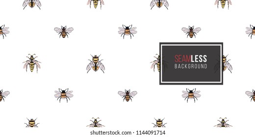 Seamless pattern with embroidery yellow fly, honey bee, dangerous wasp, small funny bee. Fashion patch background with insects. 