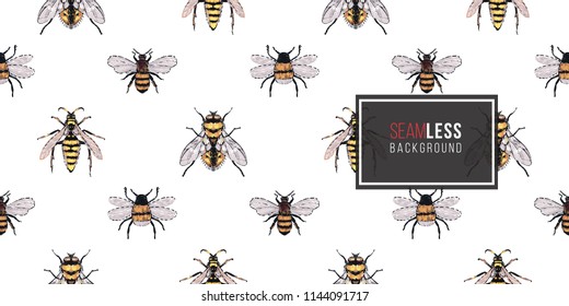 Seamless pattern with embroidery yellow fly, honey bee, dangerous wasp, small funny bee. Fashion patch background with insects. 