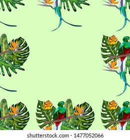 Seamless pattern of endangered species of birds Magnificent resplendent quetzal sitting on a branch against the backdrop of a tropical foliage and flowers, design