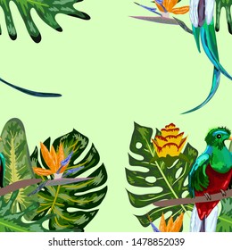 Seamless pattern of endangered species of birds Magnificent resplendent quetzal sitting on a branch against the backdrop of a tropical foliage and flowers, design