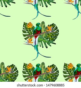Seamless pattern of endangered species of birds Magnificent resplendent quetzal sitting on a branch against the backdrop of a tropical foliage and flowers, design