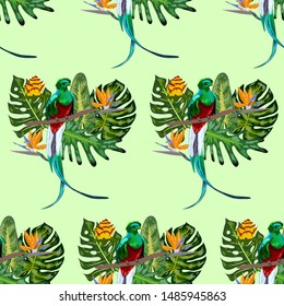 Seamless pattern of endangered species of birds Magnificent resplendent quetzal sitting on a branch against the backdrop of a tropical foliage and flowers, design