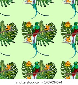 Seamless pattern of endangered species of birds Magnificent resplendent quetzal sitting on a branch against the backdrop of a tropical foliage and flowers, design