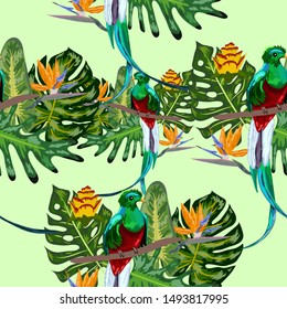 Seamless pattern of endangered species of birds Magnificent resplendent quetzal sitting on a branch against the backdrop of a tropical foliage and flowers, design
