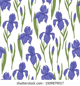 Seamless pattern, endless template of hand drawn flower iris with leaves vector illustration