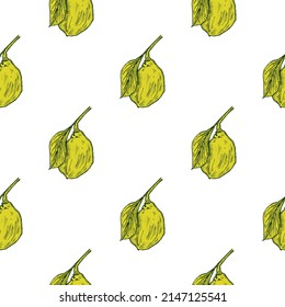Seamless pattern engraved lemon on branch with leaves. Vintage background lime growing on twig in hand drawn style. Vector repeated color design texture for print, fabric, wrapping, wallpaper, tissue.