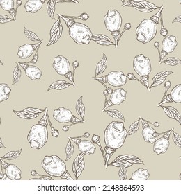 Seamless pattern engraved lemon on branch with leaves. Vintage background lime growing on twig in hand drawn style. Vector repeated color design texture for print, fabric, wrapping, wallpaper, tissue.