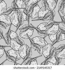 Seamless pattern engraved lemon on branch with leaves. Vintage background lime growing on twig in hand drawn style. Vector repeated color design texture for print, fabric, wrapping, wallpaper, tissue.