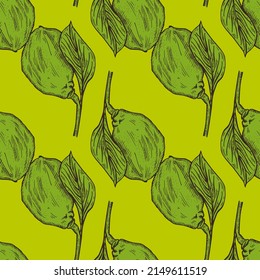 Seamless pattern engraved lemon on branch with leaves. Vintage background lime growing on twig in hand drawn style. Vector repeated color design texture for print, fabric, wrapping, wallpaper, tissue.