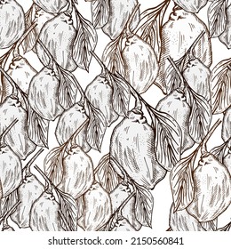 Patrón sin foco de limón grabado en rama con hojas. La cal de fondo de la cosecha de vintage crece en la rama con estilo dibujado a mano. Textura de diseño de color repetida vectorial para impresión, tela, envoltura, papel pintado, tejido.