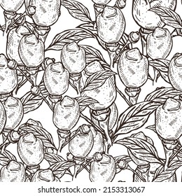 Patrón sin foco de limón grabado en rama con hojas. La cal de fondo de la cosecha de vintage crece en la rama con estilo dibujado a mano. Textura de diseño de color repetida vectorial para impresión, tela, envoltura, papel pintado, tejido.
