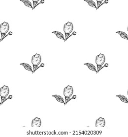 Seamless pattern engraved lemon on branch with leaves. Vintage background lime growing on twig in hand drawn style. Vector repeated color design texture for print, fabric, wrapping, wallpaper, tissue.