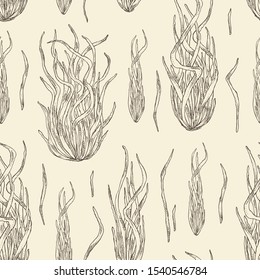 Seamless pattern with enteromorpha: enteromorpha seaweed, leaves. Green algae. Edible seaweed. Vector hand drawn illustration