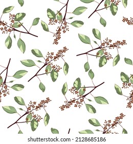 Seamless pattern with eucalyptus branch in bloom on a white background. Illustration of greenery, foliage and natural leaves. Template for floral textile design.